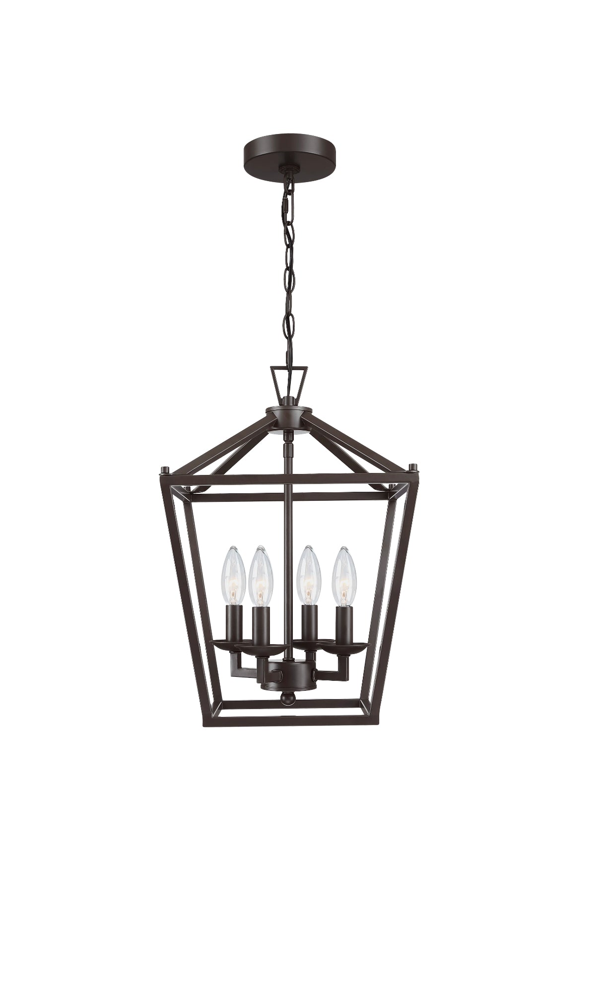 Pendant Light  (Bulbs Not Included)